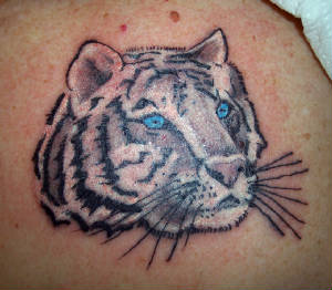 tiger.jpg