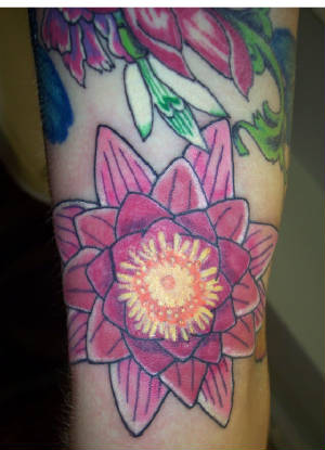 waterlily1.jpg