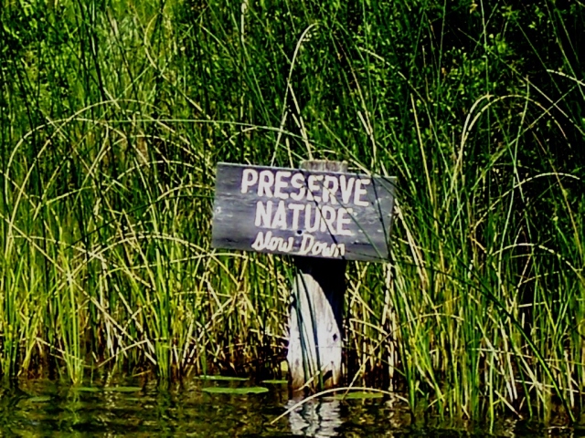 100_0387preservenature.jpg