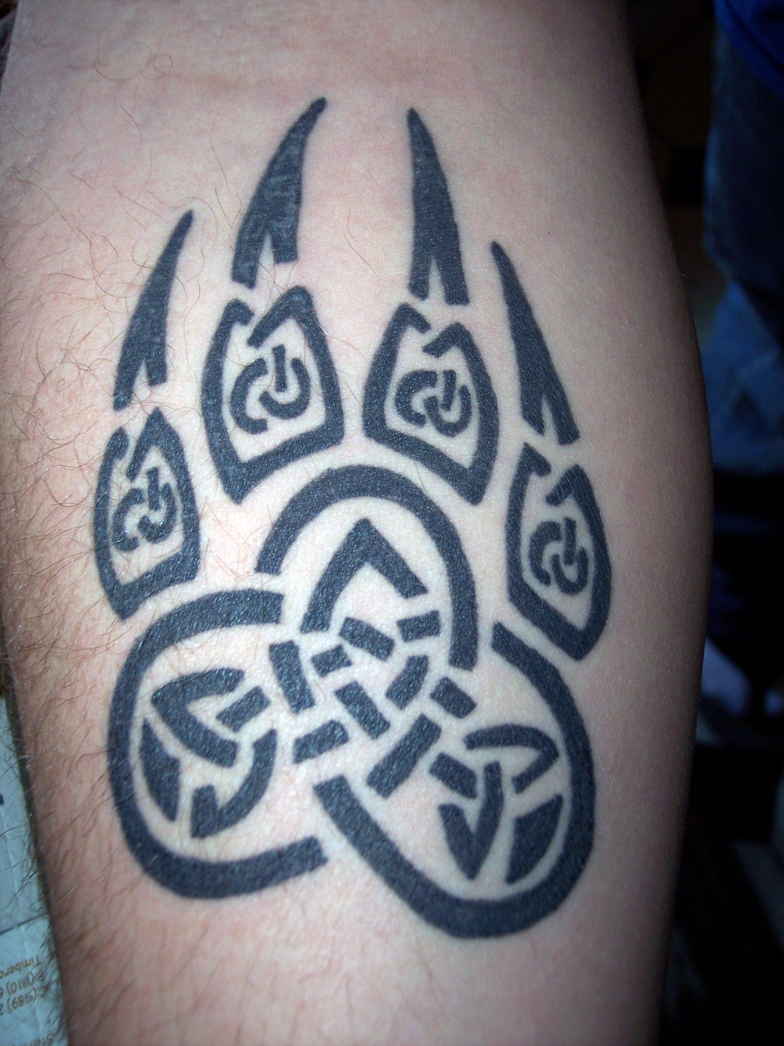 celticbearclaw.jpg