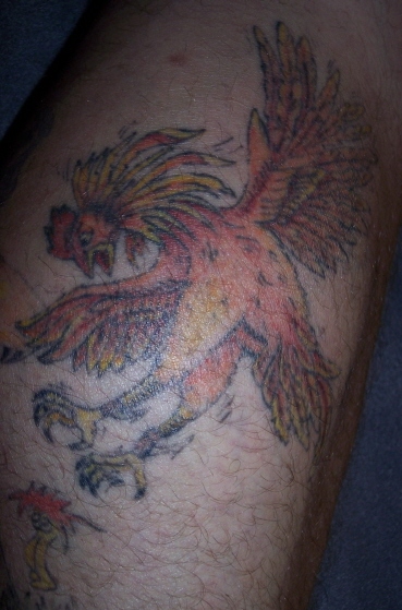 fightingcock.jpg