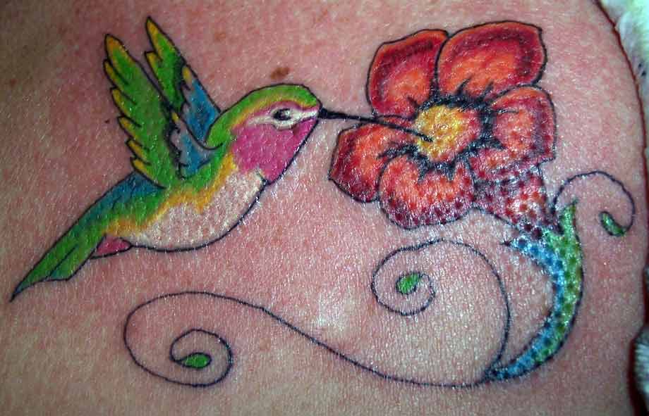 humming-bird.jpg