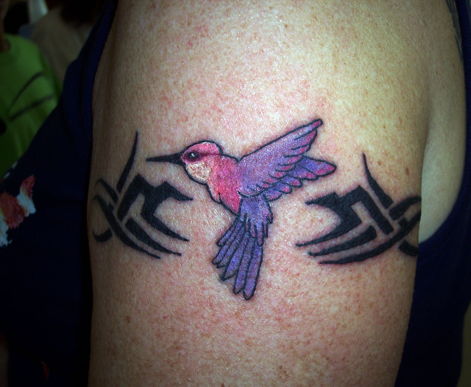 hummingbird.jpg