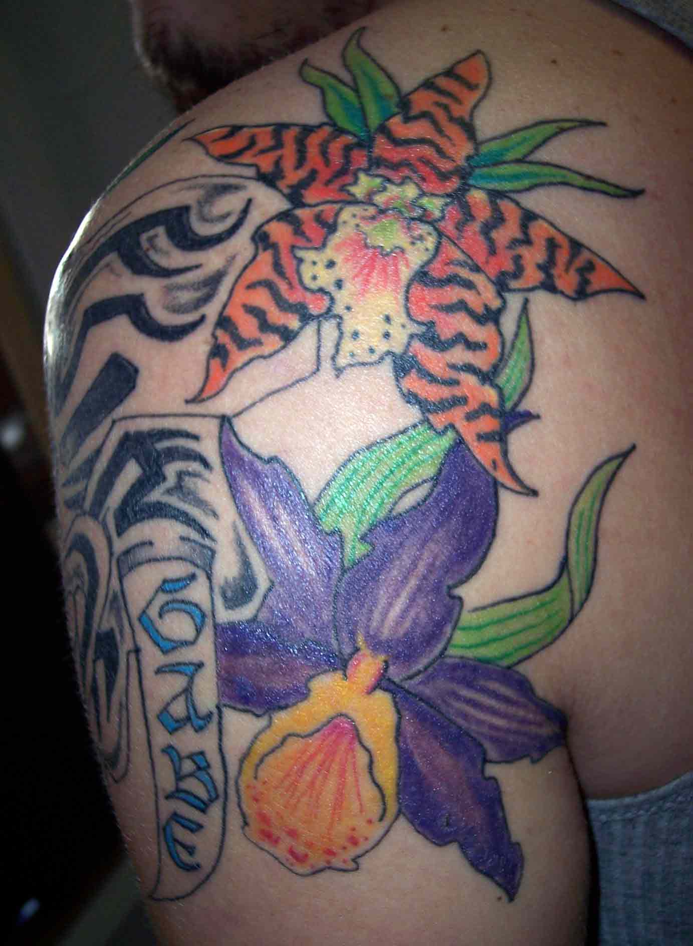 orchid2.jpg